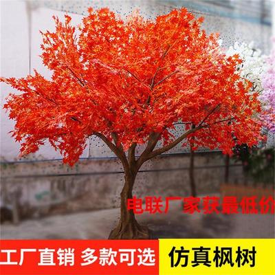 廣州廠家批發(fā)家居年貨日本紅楓樹 酒店裝飾楓樹植物 松濤工藝盆栽紅楓