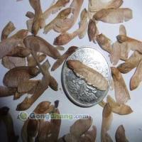 寧波榮達苗木場_世界工廠網(wǎng)全球企業(yè)庫