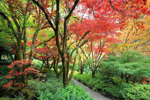 礦老板的私家花園